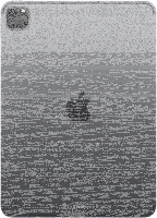 Apple iPad Pro 11 (2.Gen) 256GB Spacegrau Wi-Fi + 4G (2020)