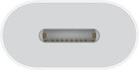Apple USB-C auf Lightning Adapter