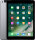 Apple iPad 5 32GB Wi-Fi + 4G spacegrau (2017)
