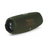 JBL Charge 5 grün
