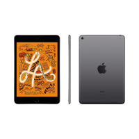 Apple iPad mini 5 256GB Spacegrau Wi-Fi + 4G