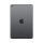 Apple iPad mini 5 256GB Spacegrau Wi-Fi + 4G
