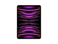 Apple iPad Pro 11 (4.Gen) 2TB spacegrau Wi-Fi + 5G (2022)