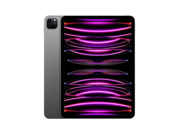 Apple iPad Pro 11 (4.Gen) 2TB spacegrau Wi-Fi (2022)