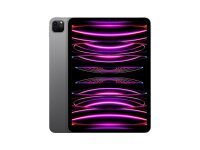 Apple iPad Pro 11 (4.Gen) 2TB spacegrau Wi-Fi (2022)