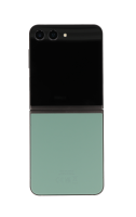 Samsung Galaxy Z Flip5 5G 512GB Grün