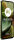 Motorola Moto G15 128GB/4GB Iguana Green