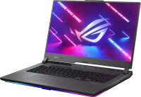 ASUS ROG Strix G17 AMD Ryzen 9 7940HX 1TB/16GB GeForce RTX 4060(8GB) grau (2023)