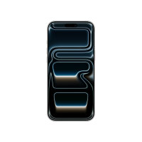 Apple iPhone 17 Pro Max 256GB silber