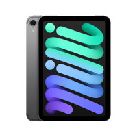 Apple iPad mini 7 128GB Spacegrau Wi-Fi + 5G (2024)